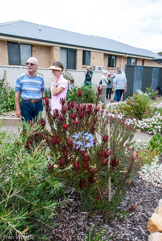 Willis' garden, Yass