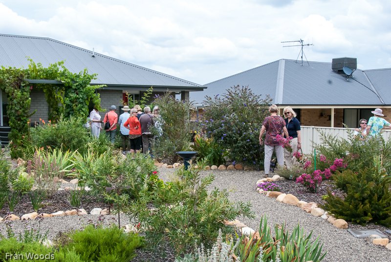 Willis' garden, Yass