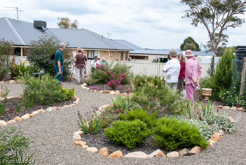 Willis' garden, Yass