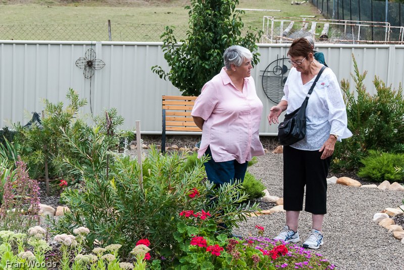 Willis' garden, Yass
