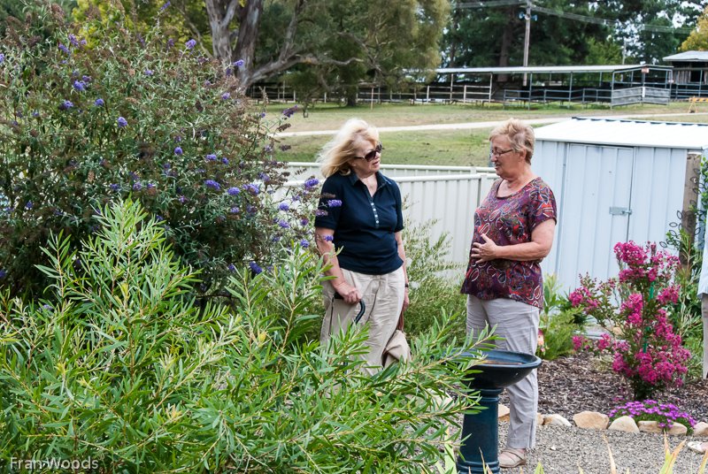Willis' garden, Yass