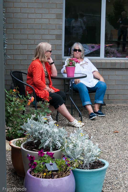Willis' garden, Yass