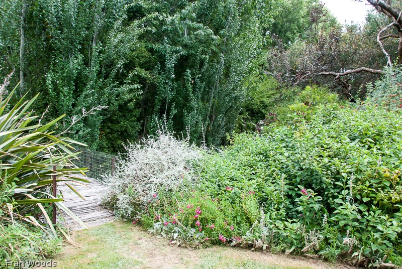 Crisp's Gallery and Nursery, Yass