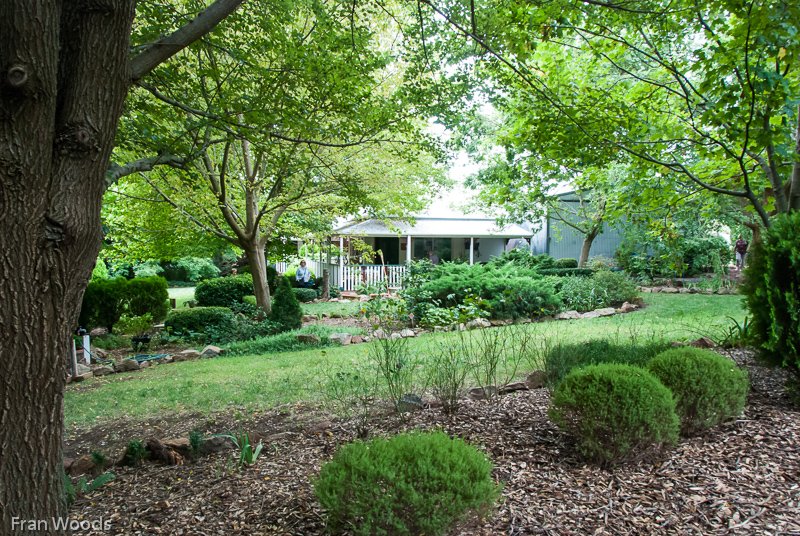 Whiteley's Garden, Yass