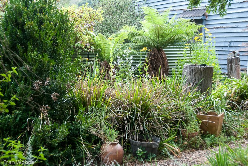 Kaye's Garden at Mongarlowe