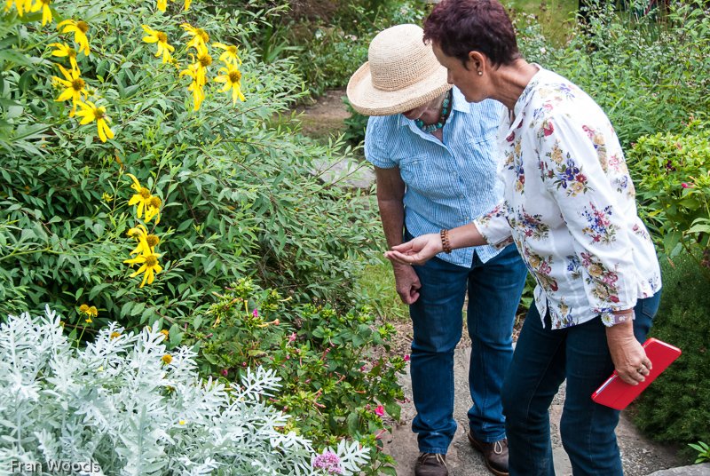 Kaye's Garden at Mongarlowe