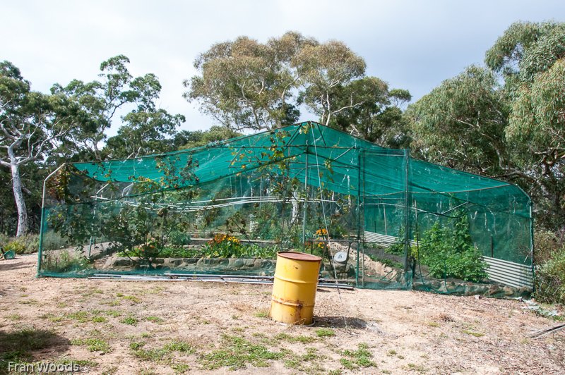 Marie's garden at Mongarlowe
