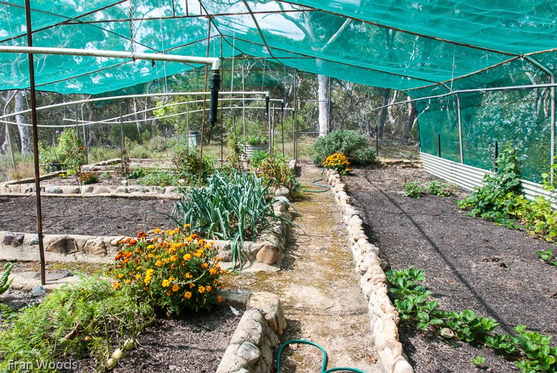 Marie's garden at Mongarlowe