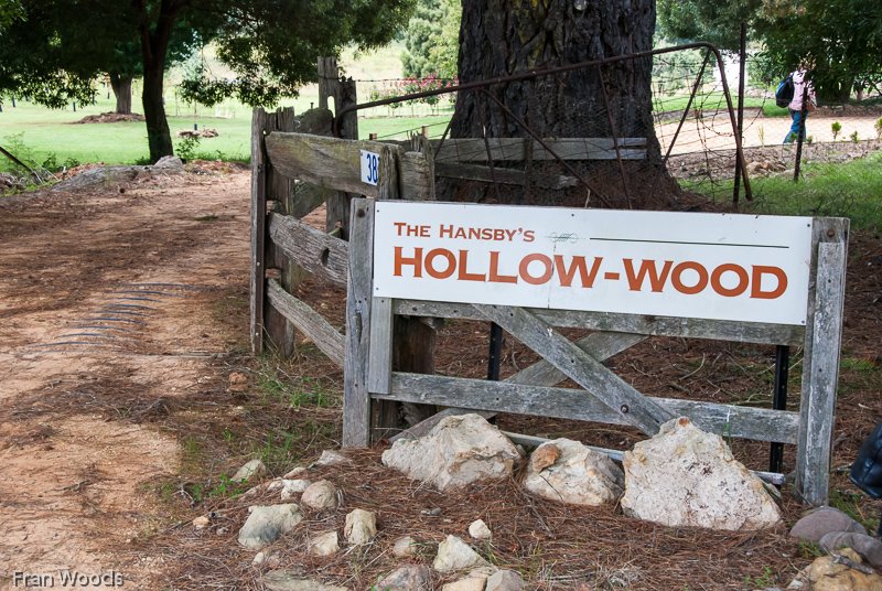 Visit to Hollow-Wood garden at Mongarlowe