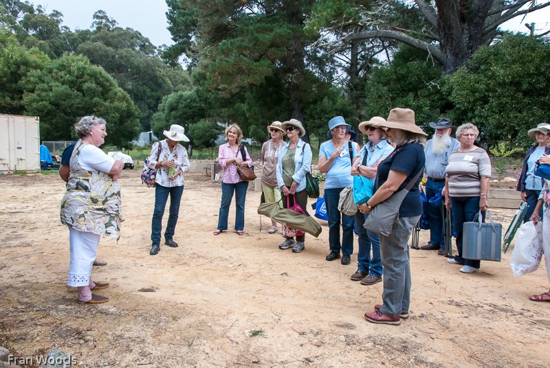 Visit to Hollow-Wood garden at Mongarlowe