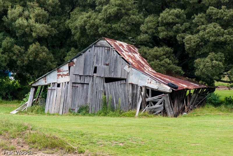 Visit to Hollow-Wood garden at Mongarlowe