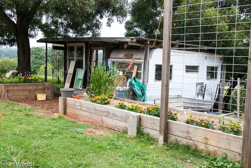 Visit to Hollow-Wood garden at Mongarlowe