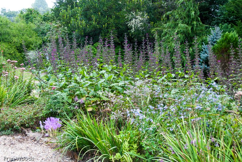 Misty Mountain Nursery