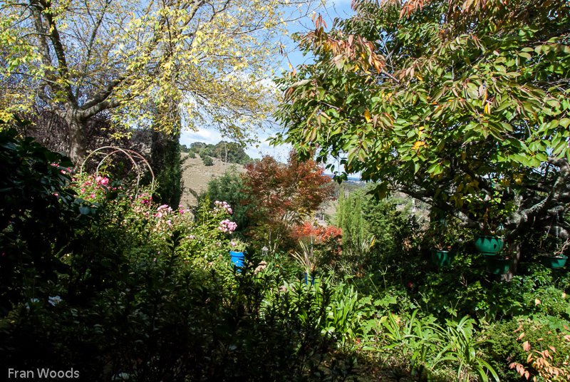 Garden club visit to Lindwall garden