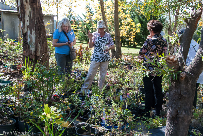 Garden Club visit to Mitchell garden