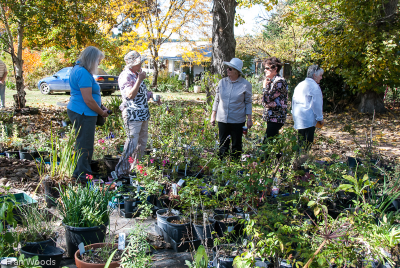 Garden Club visit to Mitchell garden