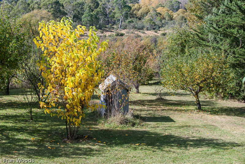 Garden Club visit to Mitchell garden