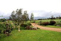 GardenClubGoddards10Nov1130.jpg