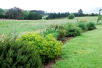 GardenClubGoddards10Nov1138.jpg