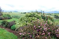 GardenClubGoddards10Nov1139.jpg