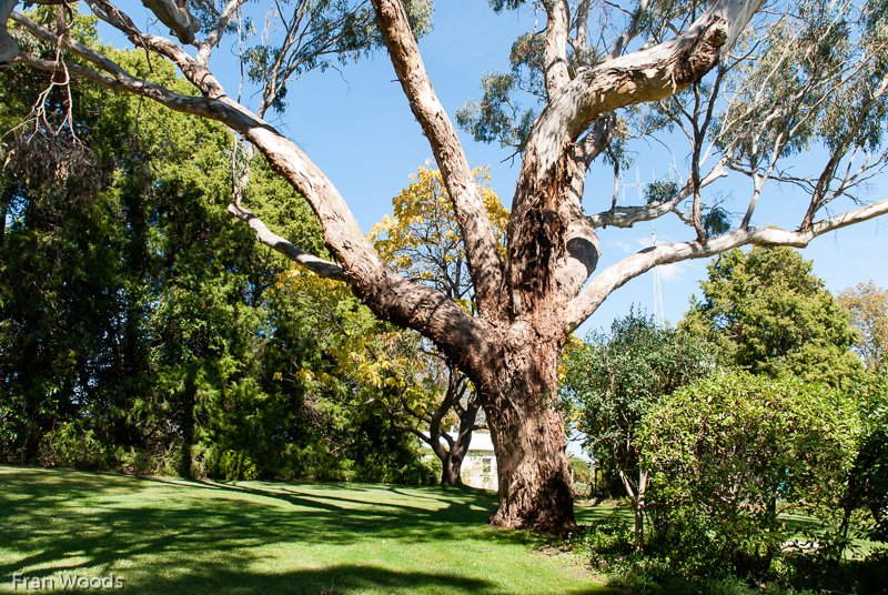 Markdale, Crookwell
