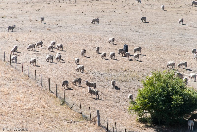 Markdale, Crookwell