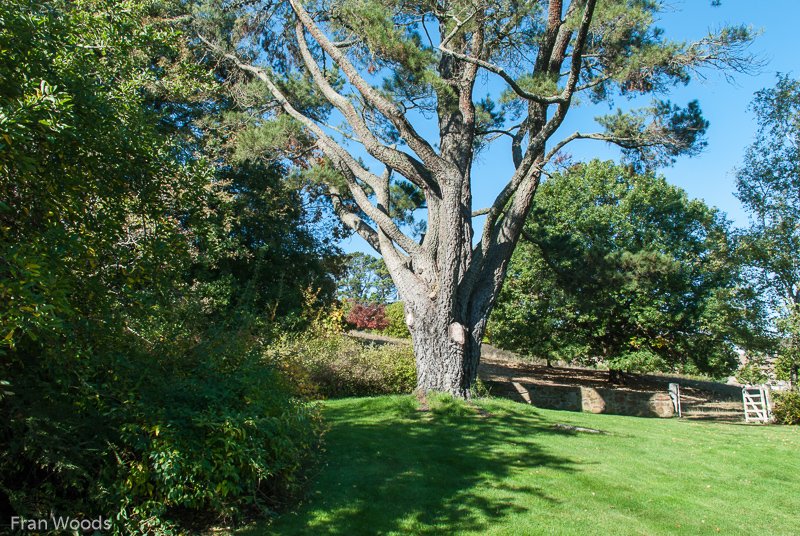 Kiloren, Crookwell