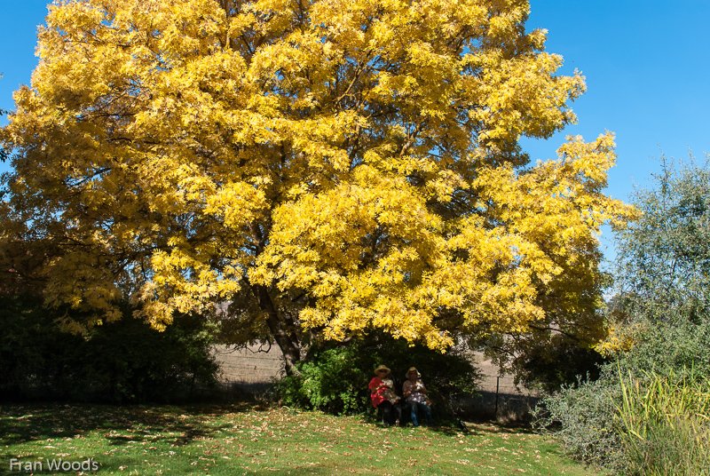 Kiloren, Crookwell