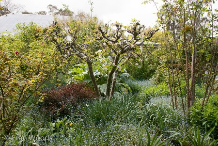 Private Garden at Berrima