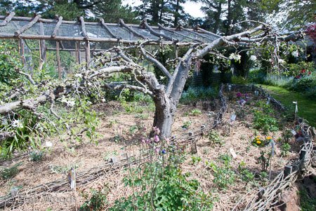 Private Garden at Berrima