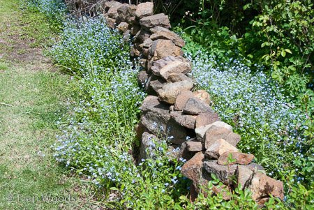 Private Garden at Berrima