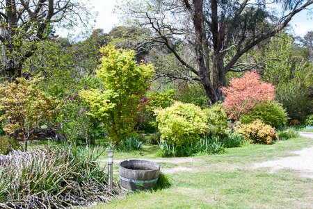 Private Garden at Berrima