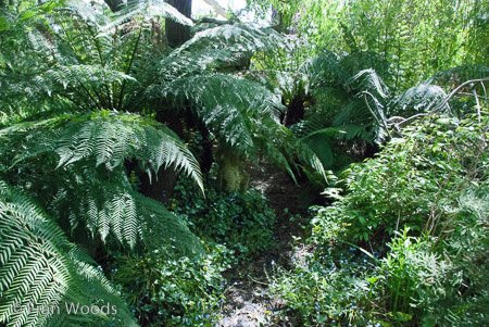 Private Garden at Berrima