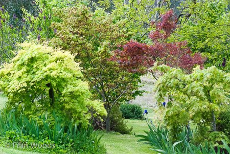 Private Garden at Berrima