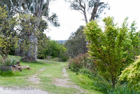 Private Garden at Berrima