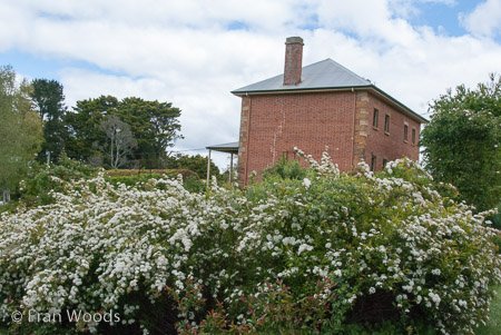 Harper's Mansion and Garden, Berrima