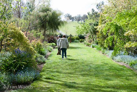 Red Cow Farm garden at Sutton Forest