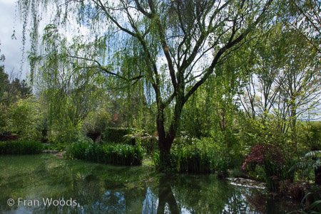 Red Cow Farm garden at Sutton Forest