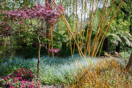 Red Cow Farm garden at Sutton Forest