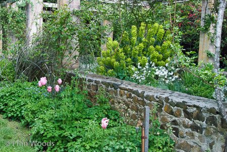 Red Cow Farm garden at Sutton Forest