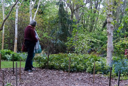 Red Cow Farm garden at Sutton Forest