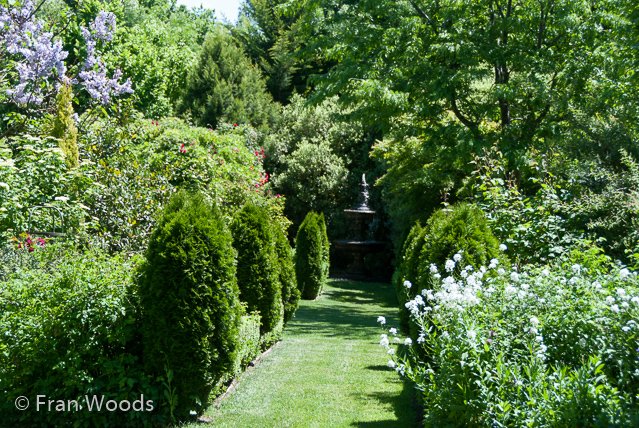 Beautiful garden at Yarralumla.