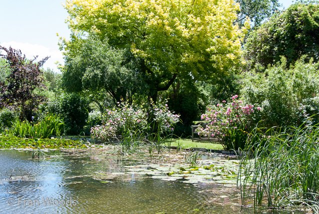 Beautiful garden at Yarralumla.