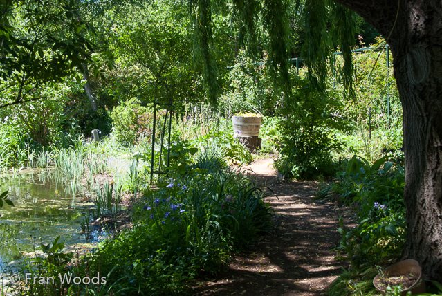 Beautiful garden at Yarralumla.