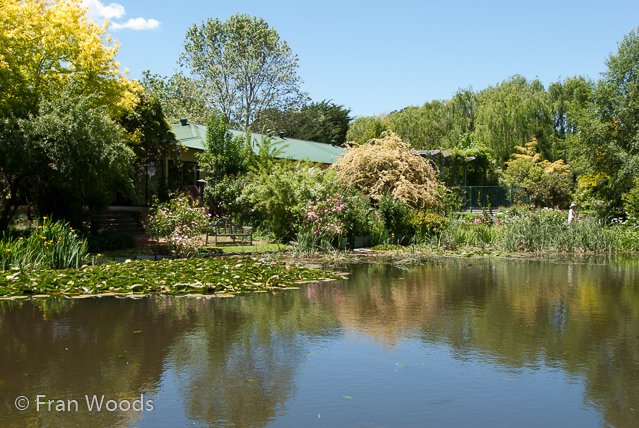 Beautiful garden at Yarralumla.