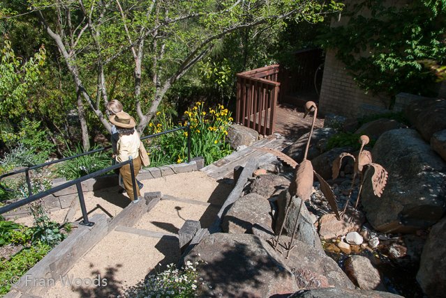 Lovely garden at Queanbeyan, NSW.