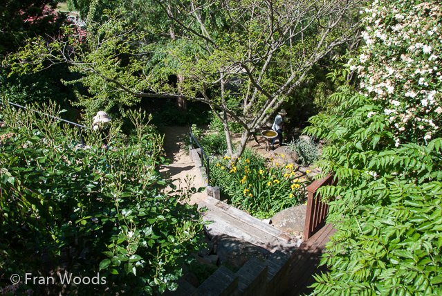 Lovely garden at Queanbeyan, NSW.
