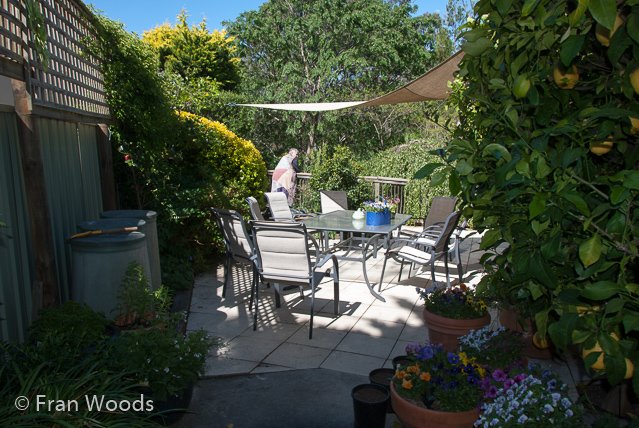 Lovely garden at Queanbeyan, NSW.