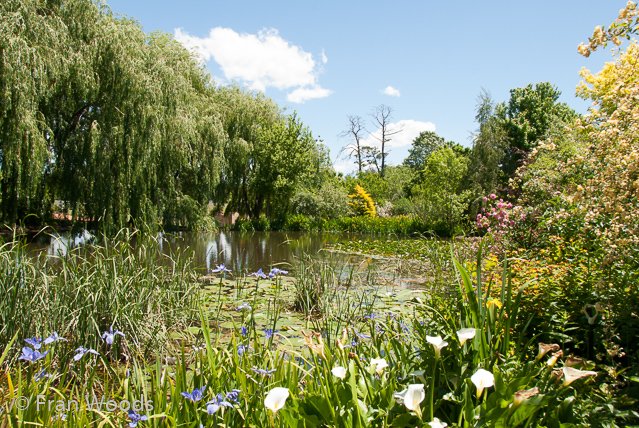Beautiful garden at Yarralumla.
