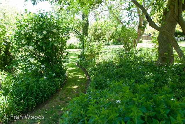 Beautiful garden at Yarralumla.